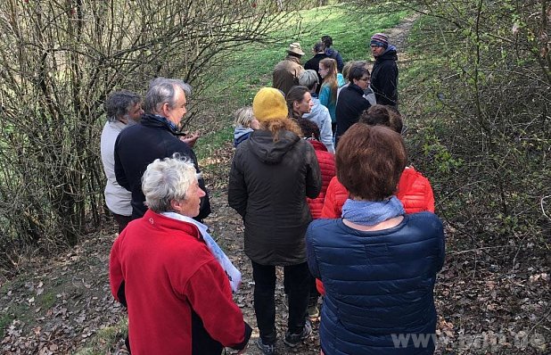 Artenvielfalt dank Weidewirtschaft am Kapellenhof Artenvielfalt dank Weidewirtschaft am Kapellenhof